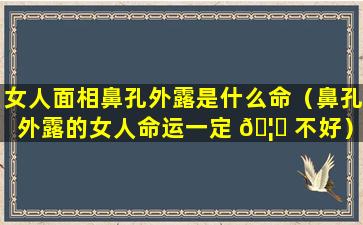 女人面相鼻孔外露是什么命（鼻孔外露的女人命运一定 🦆 不好）